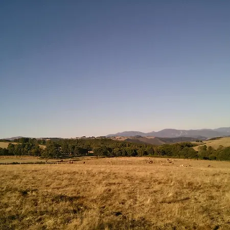 Casa Remedios * Villarquille